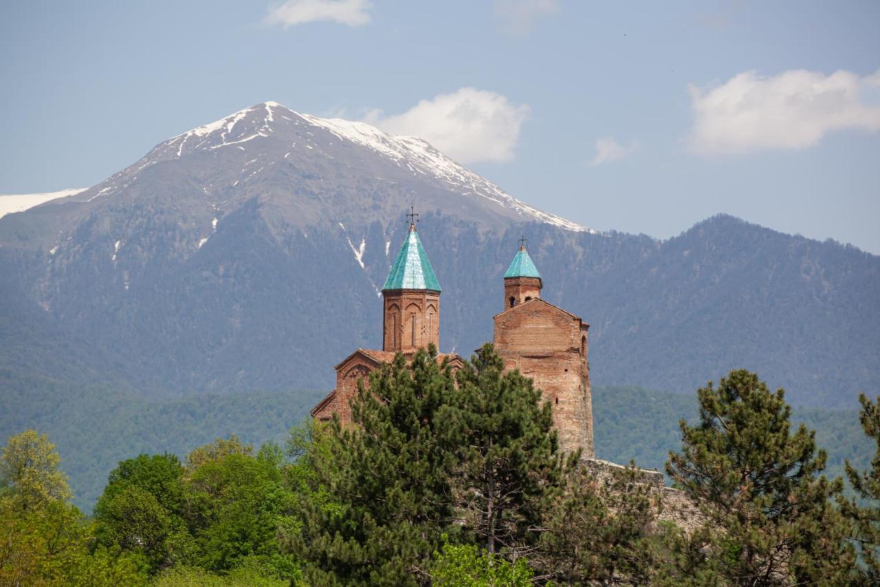 Chateau Gremisio Kvareli Exterior foto
